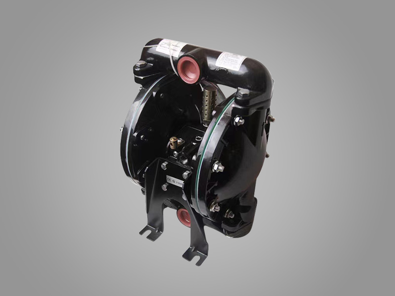 DS-25